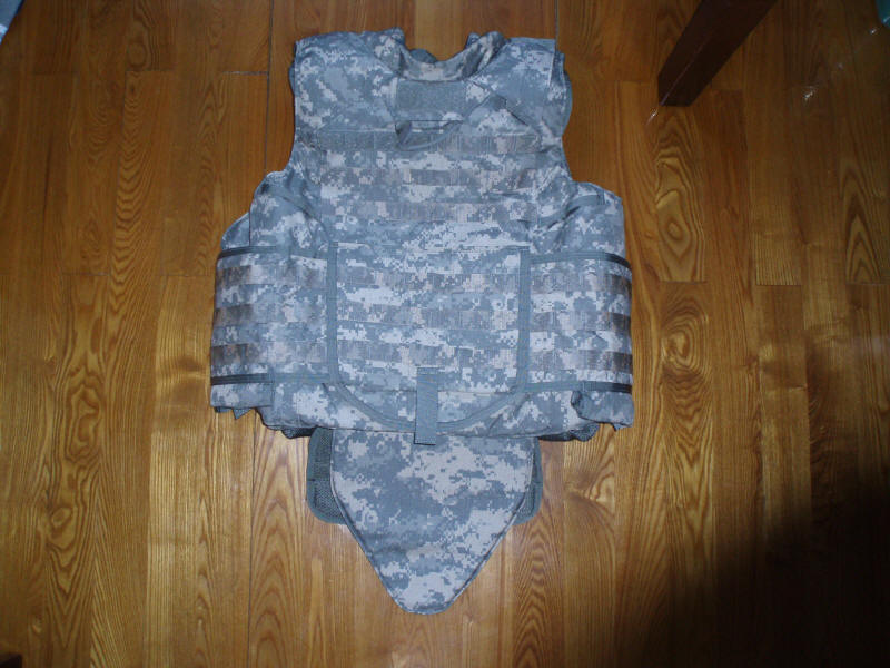 P2040586.JPG