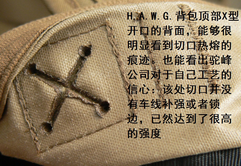 1148232f93ckd981y1fkkf.jpg