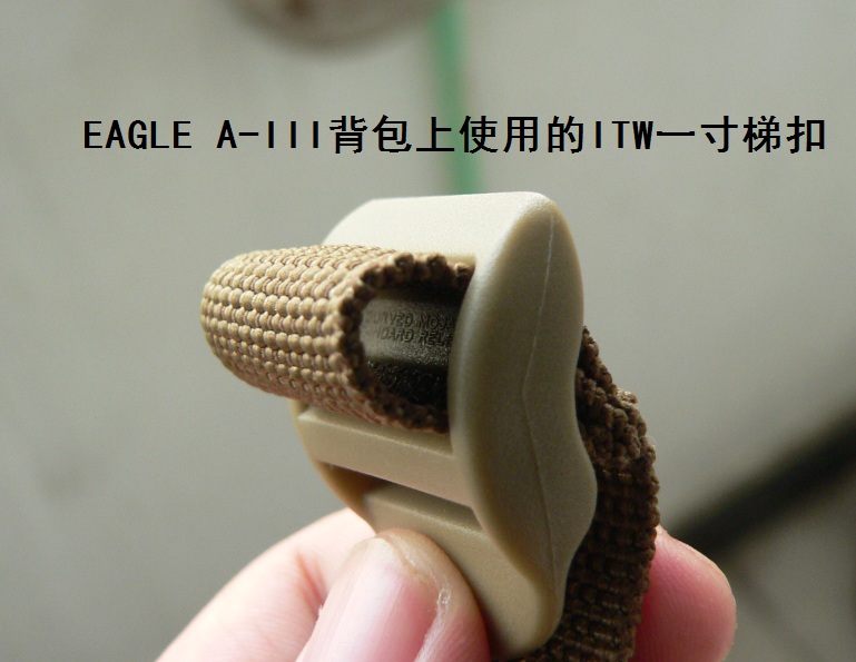 1908517gadgfo1q0g73ga1.jpg