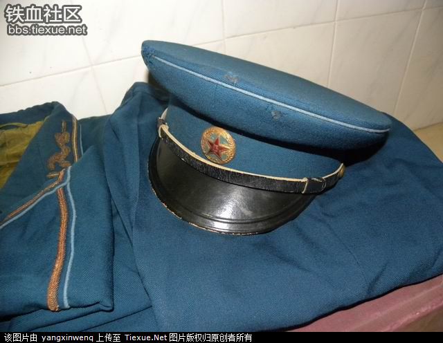 14507134.jpg