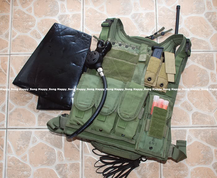 mbss11.jpg