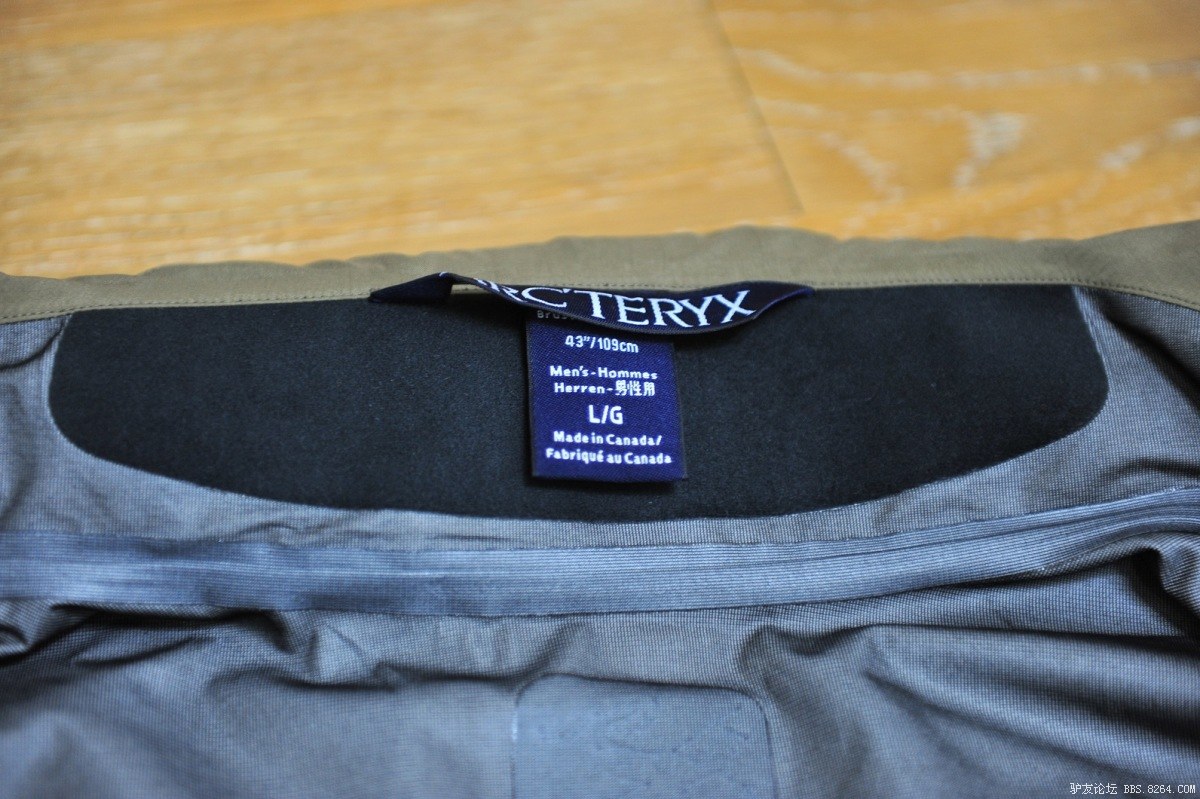 Arc'teryx Leaf Alp