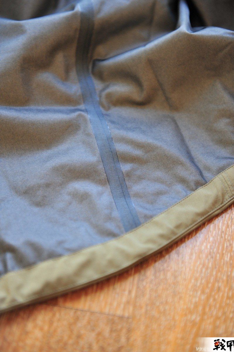 Arc'teryx Leaf Alp