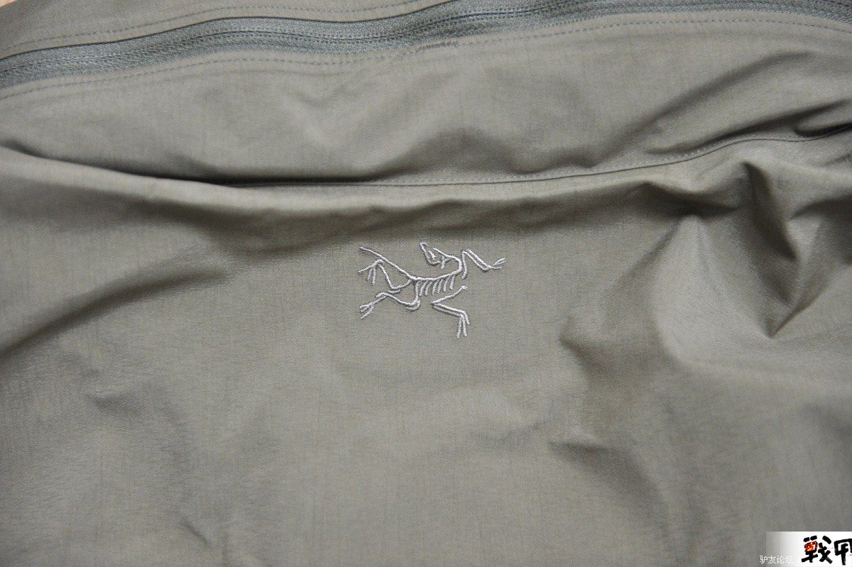 Arc'teryx Leaf Alp
