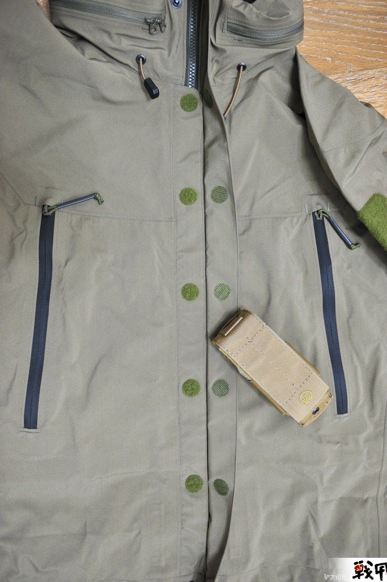 Arc'teryx Leaf Alp