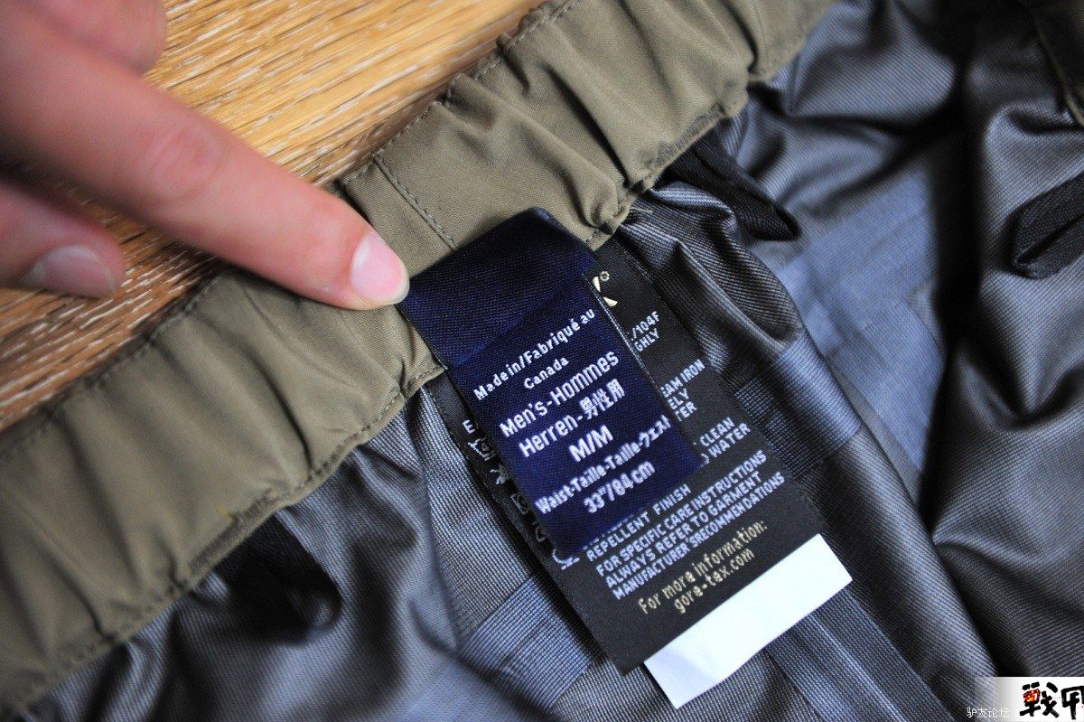Arc'teryx Leaf Alp