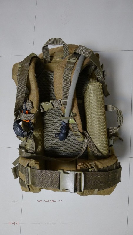 P1010798 (452x800).jpg