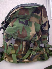 MOLLE单兵模块化轻量携行装具（翻译自外文网站资料）
