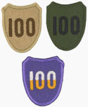 第100步兵师.jpg