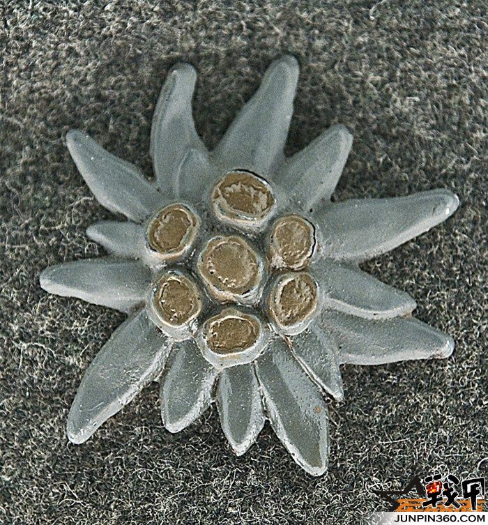 精彩转帖