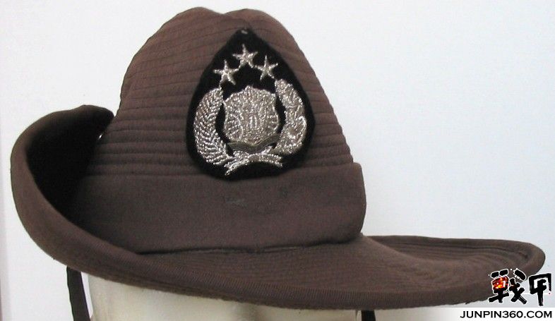 indbush.JPG