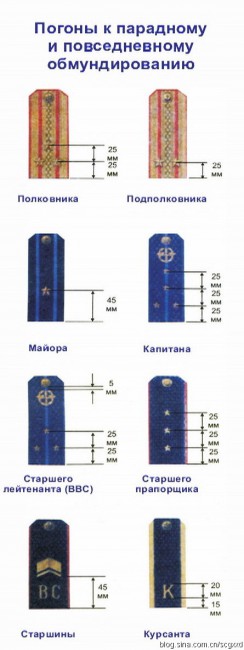 10-244x650.jpeg
